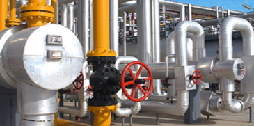 微信截图_20250625163931